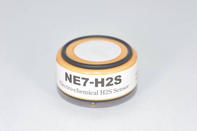 NE7-H2S-S